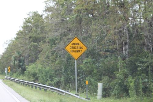 Von Naples durch die Everglades nach Key Largo – Bild 2 von 21