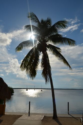 Von Naples durch die Everglades nach Key Largo – Bild 13 von 21