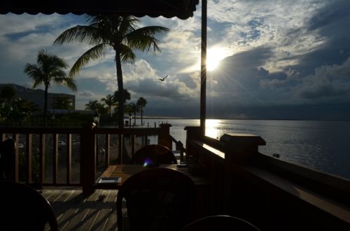 Von Naples durch die Everglades nach Key Largo – Bild 15 von 21