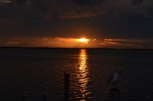 Von Naples durch die Everglades nach Key Largo – Bild 18 von 21