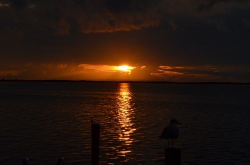 Von Naples durch die Everglades nach Key Largo – Bild 19 von 21