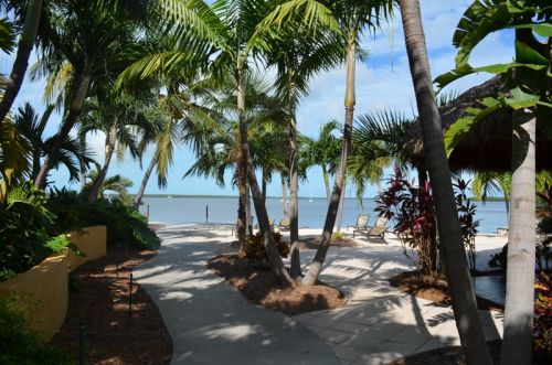 Von Key Largo nach Key West – Bild 2 von 25