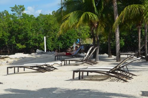 Von Key Largo nach Key West – Bild 3 von 25