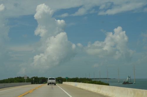 Von Key Largo nach Key West – Bild 9 von 25