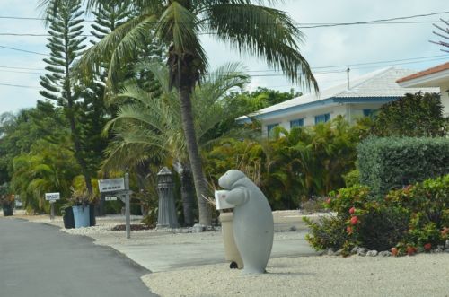 Von Key Largo nach Key West – Bild 14 von 25