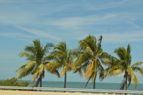 Von Key Largo nach Key West – Bild 15 von 25