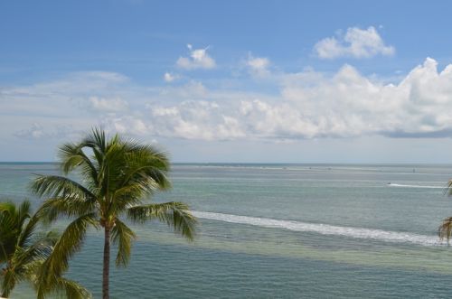 Von Key West nach Islamorada – Bild 12 von 23
