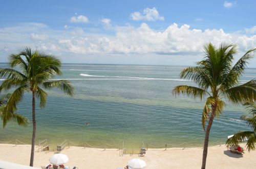 Von Key West nach Islamorada – Bild 13 von 23