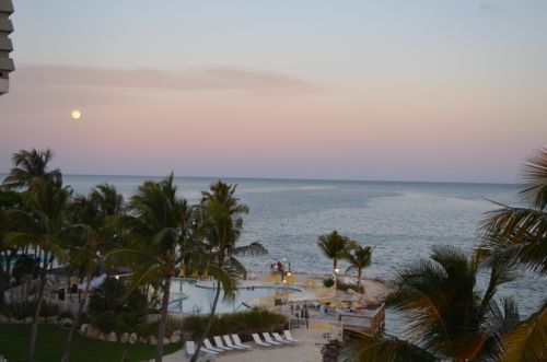 Von Key West nach Islamorada – Bild 15 von 23