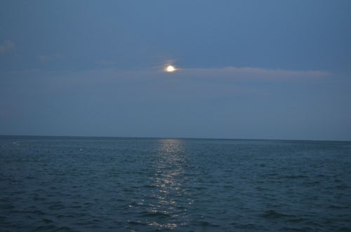 Von Key West nach Islamorada – Bild 19 von 23