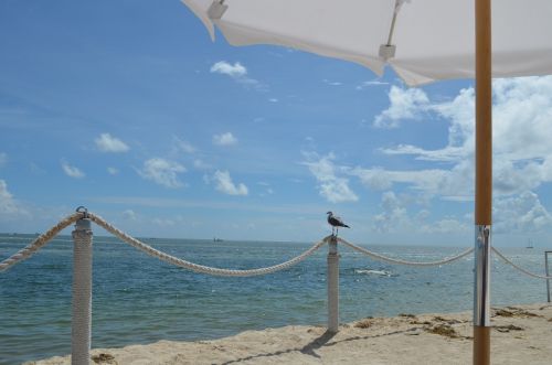 Sun & Fun auf Islamorada – Bild 4 von 7