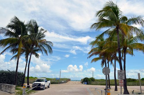 Von Islamorada nach Miami Beach – Bild 8 von 11
